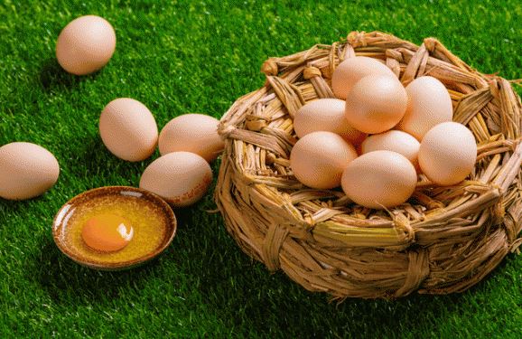 Trứng nào bổ dưỡng hơn: Trứng gà, trứng vịt, trứng ngỗng hay trứng cút? Và đây là câu trả lời...