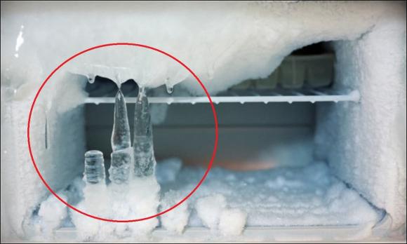 Bỏ thứ này vào tủ lạnh sẽ không bao giờ đóng băng, gia chủ có thể tiết kiệm một nửa tiền điện mỗi tháng