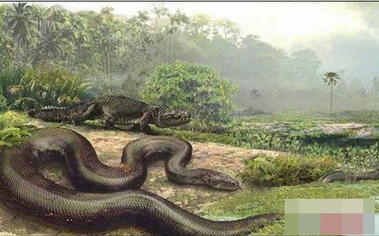 Hé lộ về trăn Titan cổ đại, tuyệt chủng 60 triệu năm trước, là loài rắn lớn nhất thế giới chưa được giải mã