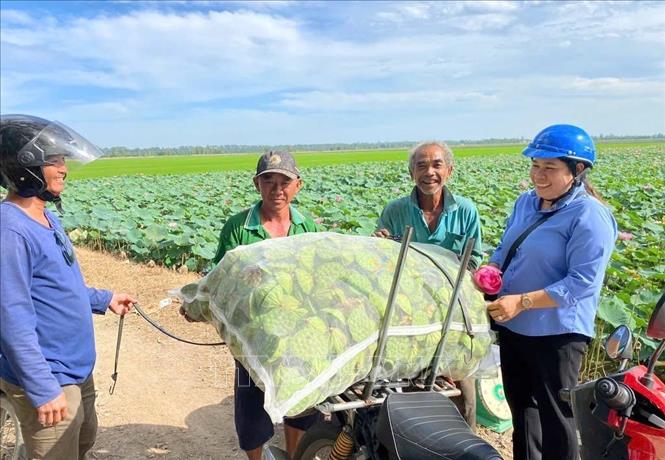 Ứng dụng công nghệ, chuyển sản xuất nông nghiệp theo hướng 'thuận thiên'