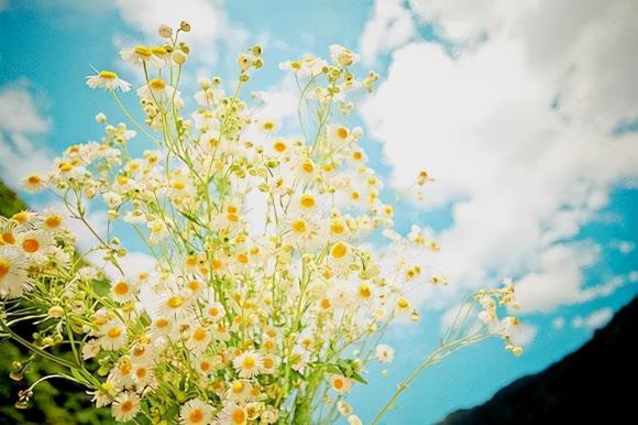 Ở độ tuổi 50, cho dù giàu hay nghèo cũng đừng liên lạc qua lại với những loại người sau vì nó chẳng có ý nghĩa gì cả