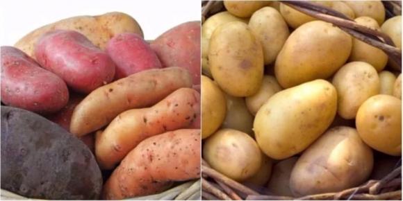 Khoai lang và khoai tây, khoai nào tốt hơn? Chuyên gia dinh dưỡng tiết lộ điều bất ngờ