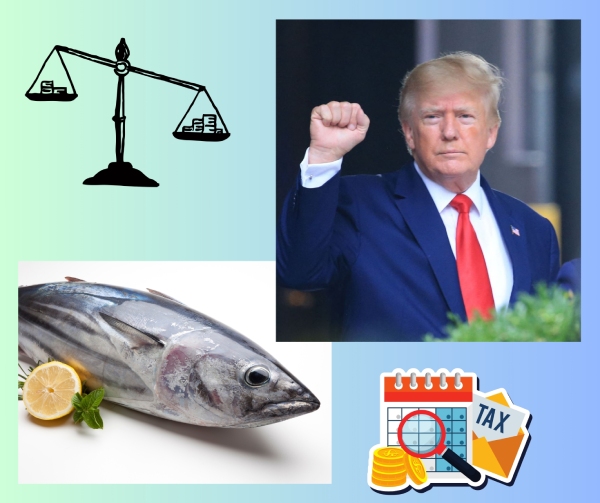 Thuế quan mới của Mỹ tác động thế nào tới cá ngừ Việt Nam?