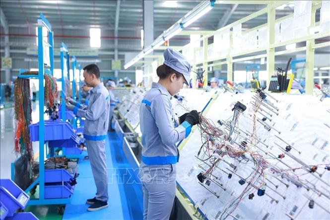 Đôn đốc triển khai thực hiện các kịch bản tăng trưởng của từng địa phương năm 2025