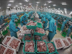Hàng hóa Việt Nam không cạnh tranh với doanh nghiệp Mỹ