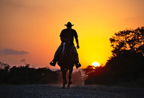 Danh tính người Việt Nam đầu tiên đến Mỹ, bất ngờ nghề nghiệp ở xứ người và cuộc sống sau này