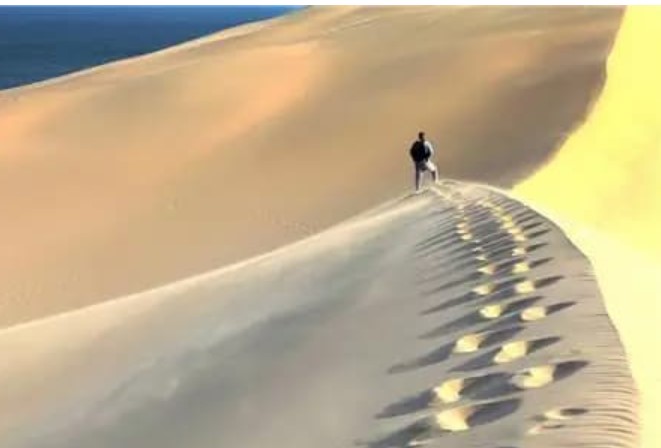 Tại sao con người không thể đi theo đường thẳng sau khi bị lạc trong sa mạc? 