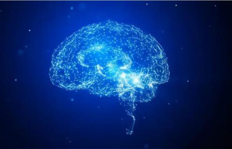 Khi ngủ, tại sao con người lại có những giấc mơ không logic về những thứ mà họ chưa từng thấy trước đây?