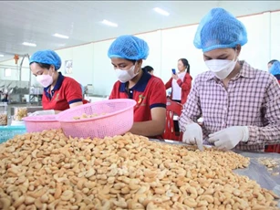Phát triển bền vững nông nghiệp vùng Đông Nam Bộ - Bài 3: Nâng cấp chuỗi giá trị nông sản chủ lực