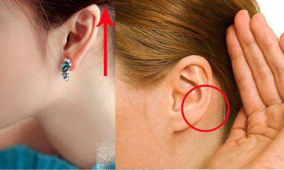 Chỉ cần 5 giây nhìn vào tướng tai là biết được ai mang vận đại cát trọn đời, ai 'long đong lận đận' cả 1 kiếp