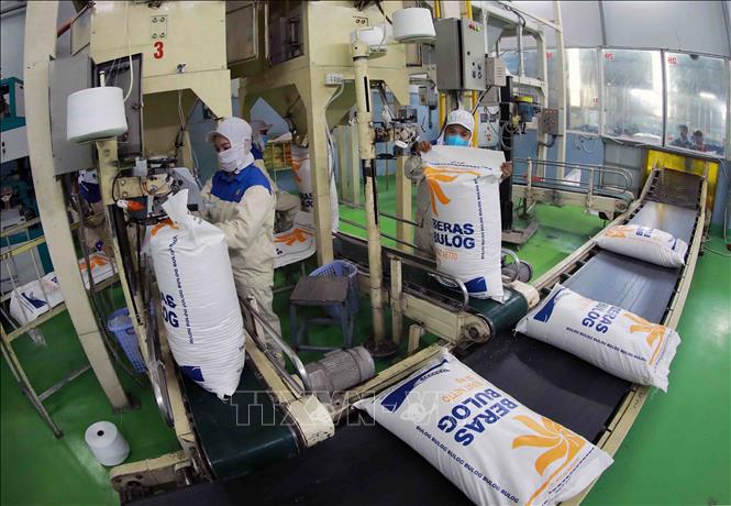 Giá gạo xuất khẩu xuống thấp: Động lực để phát triển thị trường mới