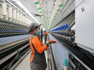 Doanh nghiệp Việt loay hoay với chuyển đổi xanh, nguy cơ mất thị trường xuất khẩu lớn