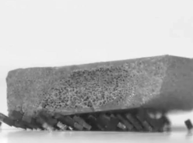 Các nhà khoa học Hàn Quốc phát triển bầy robot lấy cảm hứng từ loài kiến với khả năng làm việc nhóm vô cùng mạnh mẽ!