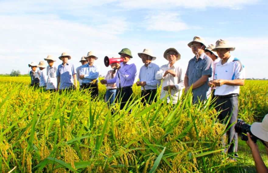 Đẩy mạnh ứng dụng công nghệ thông tin, chuyển đổi số trong khuyến nông