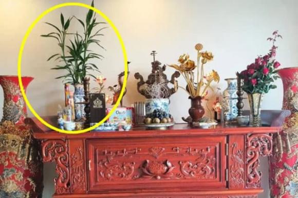 B&#x1B0;&#x1EDB;m &#x111;&#x1EAD;u b&#xE0;n th&#x1EDD; l&#xE0; &#x111;i&#x1EC1;m l&#xE0;nh hay d&#x1EEF;?