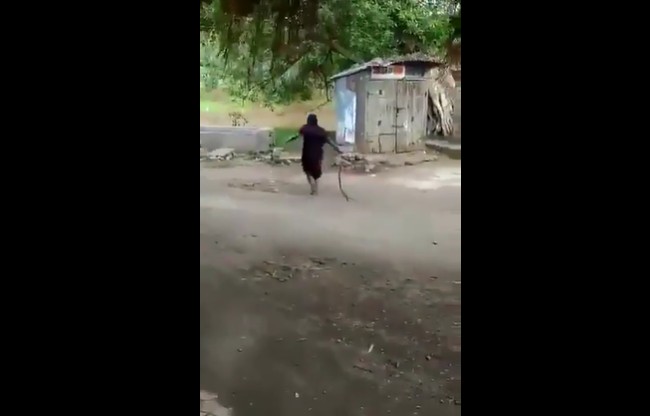 CLIP: Cụ bà Ấn Độ tay không kéo lê rắn hổ mang, bình thản quẳng đi