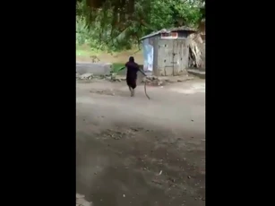 CLIP: Cụ bà Ấn Độ tay không kéo lê rắn hổ mang, bình thản quẳng đi