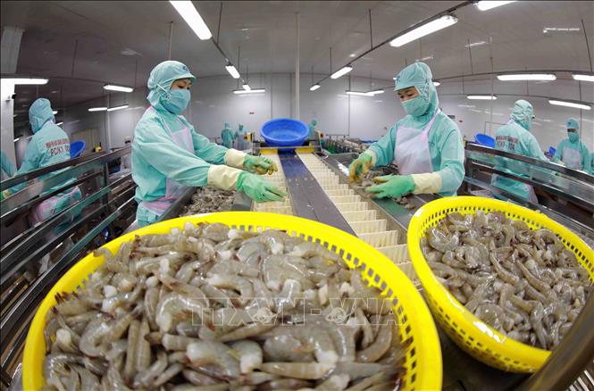 Xuất khẩu xanh - Bài 3: Áp lực cho chuỗi giá trị