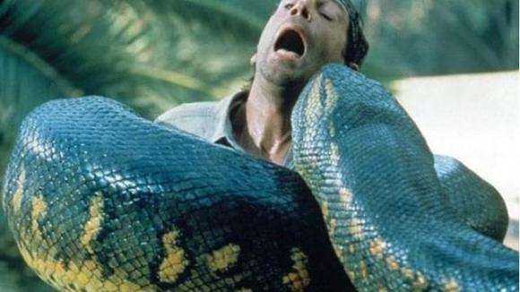 Nếu một người đàn ông bị một con trăn khổng lồ 'nuốt sống', vậy người đàn ông này có thể mổ bụng con trăn để thoát ra ngoài không?