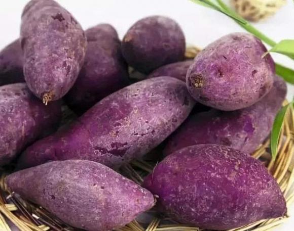 Khoai lang mật tốt hơn hay khoai tím tốt hơn? Hóa ra là khoảng cách quá lớn, đừng mua nhầm nếu bạn biết điều đó