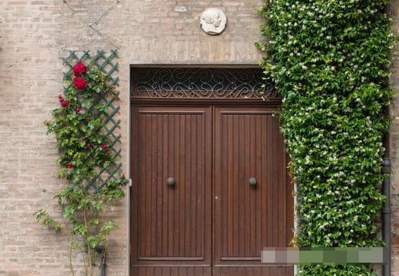 Thầy phong thủy nói: Không nên đặt thêm 3 thứ trước cửa nhà, sẽ “ảnh hưởng đến phúc khí”. Chẳng trách gia đình “nghèo khó bấy lâu nay”