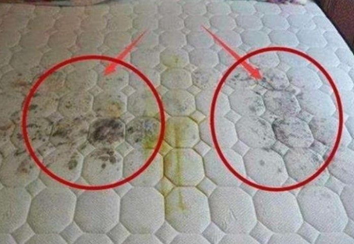 Sau khi ngủ trên đệm một thời gian dài, bọ ve đã hình thành tổ, mách bạn một cách đơn giản để loại bỏ bọ ve và bụi bẩn cùng nhau