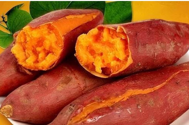 Điều gì xảy ra với những người ăn khoai lang vào bữa sáng trong thời gian dài?