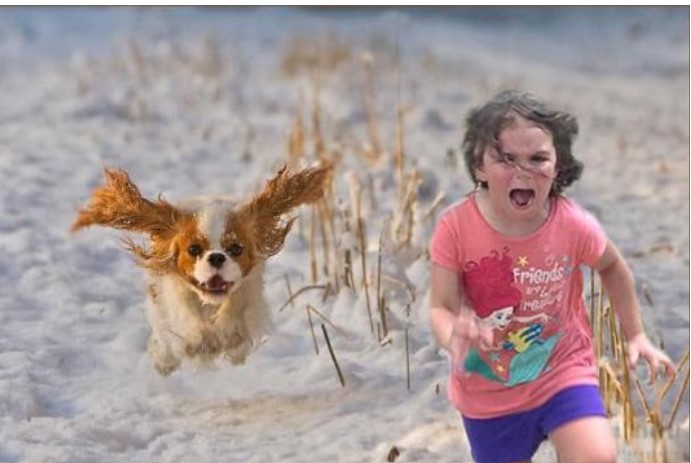 4 giấc mơ 'cảnh báo' kẻ xấu đang cận kề, cẩn thật kẻo gặp tai ương trong thời gian tới