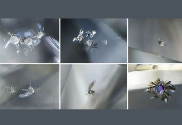 Kim cương Botswana tiết lộ thế giới kỳ lạ ẩn bên trong Trái Đất