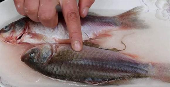 Cho dù là loại cá nào được rã đông, hãy nhớ phương pháp này, chỉ cần một mẹo nhỏ là cá sẽ được rã đông hoàn toàn trong vòng 5 phút. Thật là tuyệt vời!