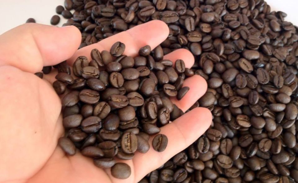 Giá nông sản ngày 25/2/2025: Hồ tiêu giảm nhẹ, cà phê duy trì ổn định 