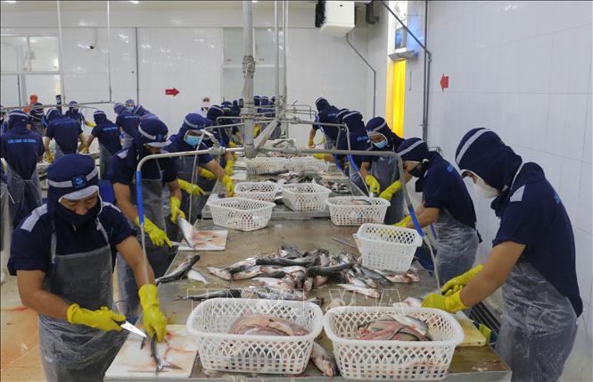 Giảm nấc trung gian trong phê duyệt dự án, không để gián đoạn sau tinh gọn