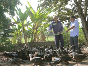 Bổ sung tiêu chí xác định người lao động có thu nhập thấp
