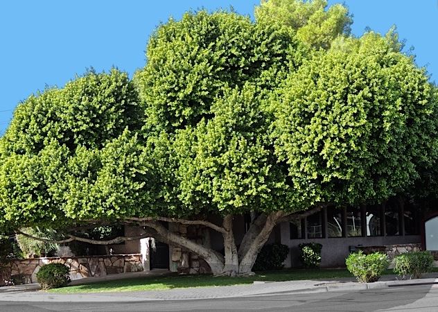 Mở cửa ra mà thấy 4 thứ này là nguy hiểm nhất, đừng coi thường kẻo có ngày hối hận