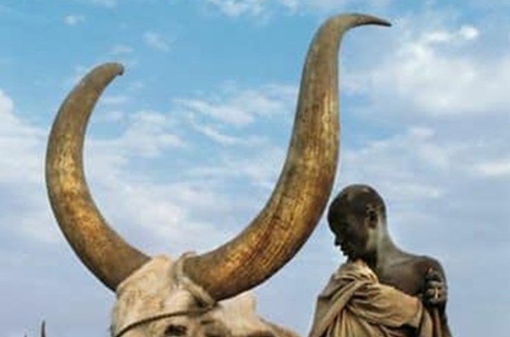 Loài động vật có cặp sừng lớn nhất thế giới, cả bộ tộc bất chấp bỏ mạng để bảo vệ