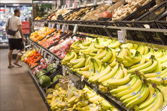 EBRD hạ dự báo tăng trưởng năm 2025 do bất ổn thương mại