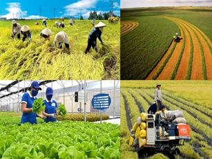 Băn khoăn về số lượng doanh nghiệp tham gia cơ chế thử nghiệm phát triển kinh tế tuần hoàn