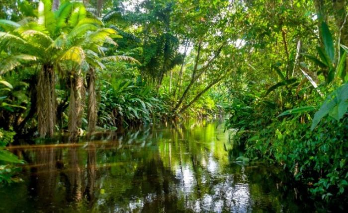 500 triệu năm trước, Trái Đất không có con người trông như thế nào? Các nhà khoa học: Tiên cảnh!