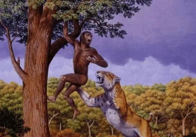 Con người đều do phụ nữ sinh ra, vậy trước khi nhân loại xuất hiện, người phụ nữ đầu tiên đến từ đâu?