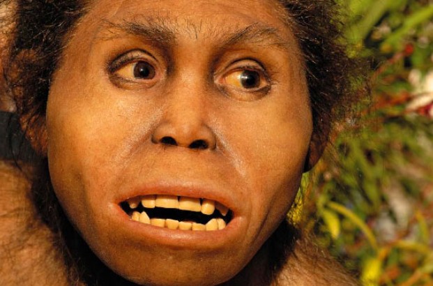 Sinh vật tông Người bí ẩn khai phá Âu - Á 2 triệu năm trước?