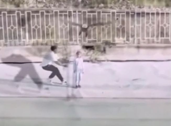 CLIP: Đại bàng 'khổng lồ' từ trên cao sà xuống định tóm gọn bé gái và cái kết khiến người xem 'thót tim'