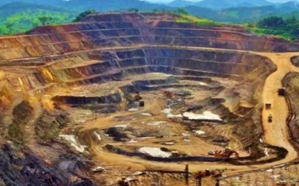 Tìm thấy kho báu nằm sâu dưới 1.000m trong rừng gỗ quý, các chuyên gia vất vả tìm cách đào lên