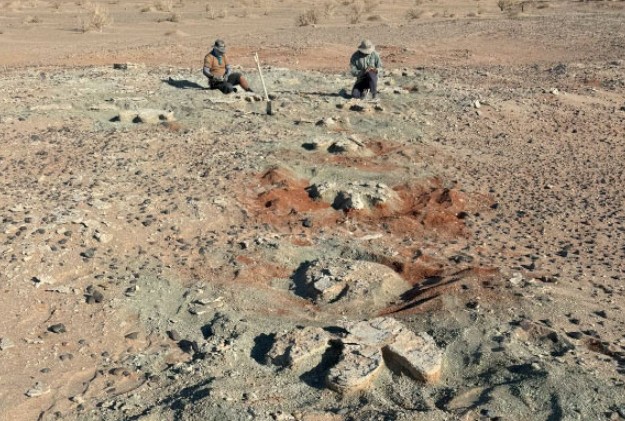 "Quái thú sa mạc" dài 15 m lộ dấu vết ở Mông Cổ