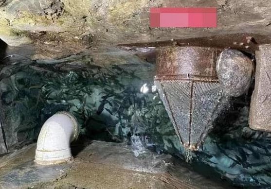 Ông lão mơ thấy có kho báu dưới nhà, đào đến 13m thì phát hiện 'mỏ vàng sống' tiền tiêu không hết