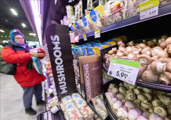 Ch&#xED;nh s&#xE1;ch t&#x103;ng thu&#x1EBF; nh&#x1EAD;p kh&#x1EA9;u c&#x1EE7;a M&#x1EF9; g&#xE2;y kh&#xF3; kh&#x103;n cho nhi&#x1EC1;u ng&#xE0;nh