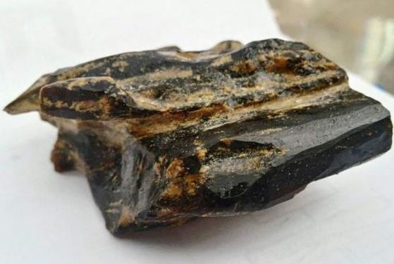 Việt Nam có loại gỗ quý như 'kim cương rừng': Giá lên đến 30 tỷ đồng, cả triệu cây mới lấy được 1 cây