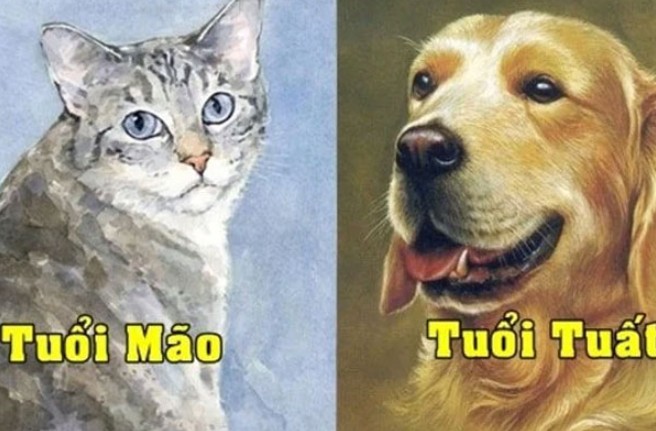 Tử vi ngày 7/3/2025 của 12 con giáp: Tuổi Tuất may mắn rực rỡ, tuổi Mão gặp trắc trở trong công việc