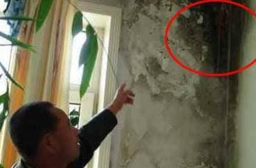 Không cần tìm thợ sửa chữa tường nhà đã “mốc meo”! Mách bạn một mẹo 'vá tường cùng sơn vá' ngay cả phụ nữ cũng có thể sửa được