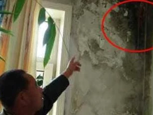 Không cần tìm thợ sửa chữa tường nhà đã “mốc meo”! Mách bạn một mẹo 'vá tường cùng sơn vá' ngay cả phụ nữ cũng có thể sửa được