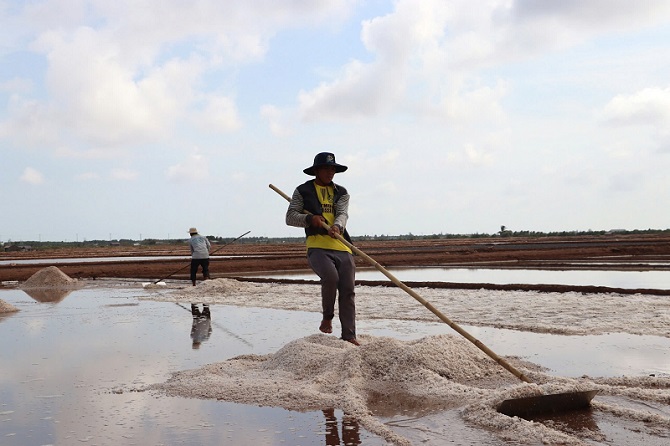 Chủ tịch tỉnh Bạc Liêu: Đa dạng hóa sản phẩm, đưa muối Việt Nam vươn xa hơn nữa